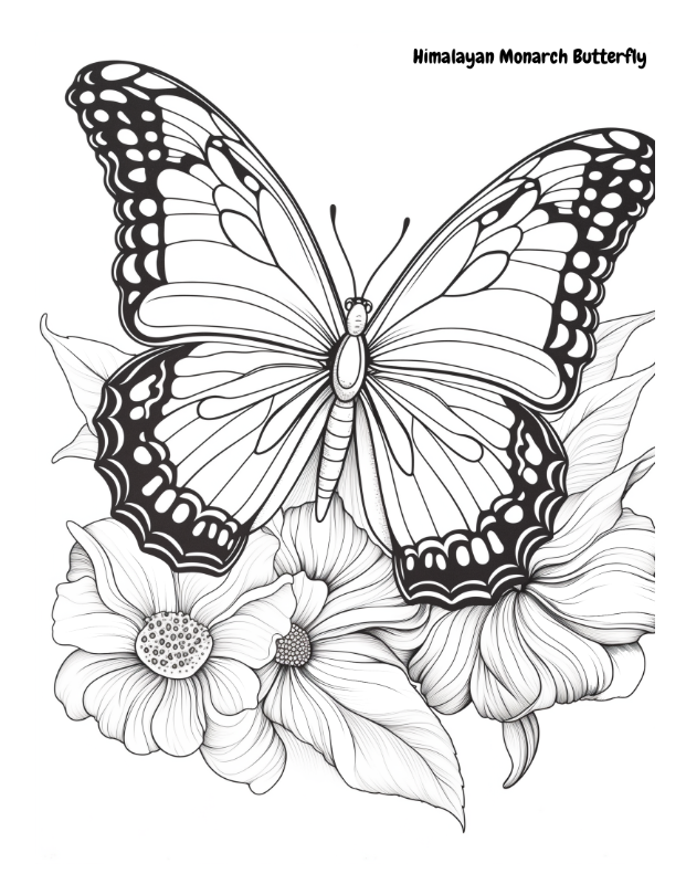 Don't Bug Me - I'm Coloring!