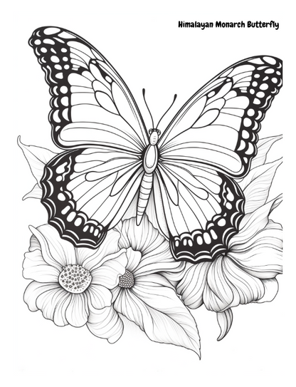 Don't Bug Me - I'm Coloring!